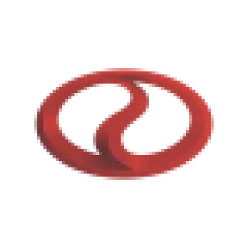 Ruichi Auto logo